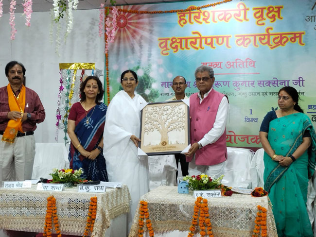 Tree plantation program was organized by Brahma Kumaris Lucknow in collaboration with Forest Department and Lok Bharti